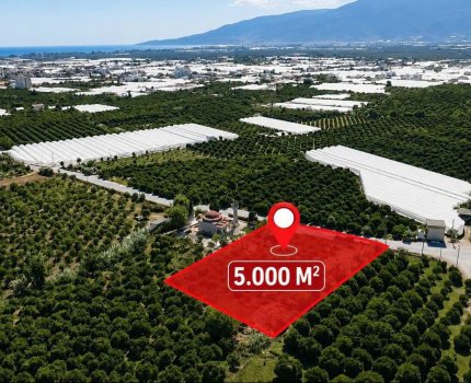 ANTALYA FİNİKE  HASYURT DA SATILIK 5 DÖNÜM BAHÇE